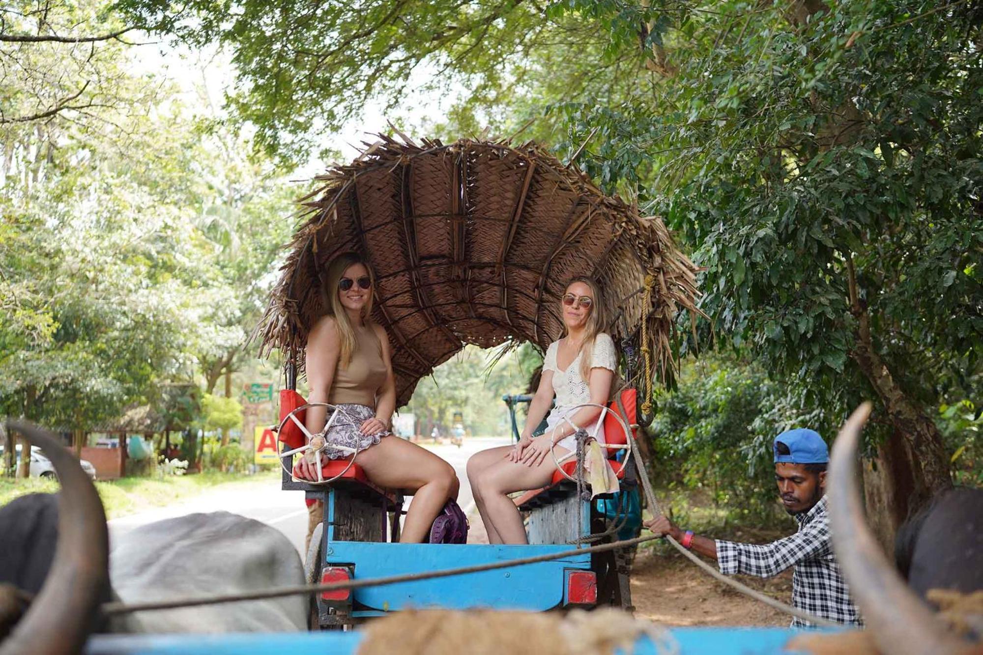 Sigiriya Kingdom Resort 丹不拉 外观 照片