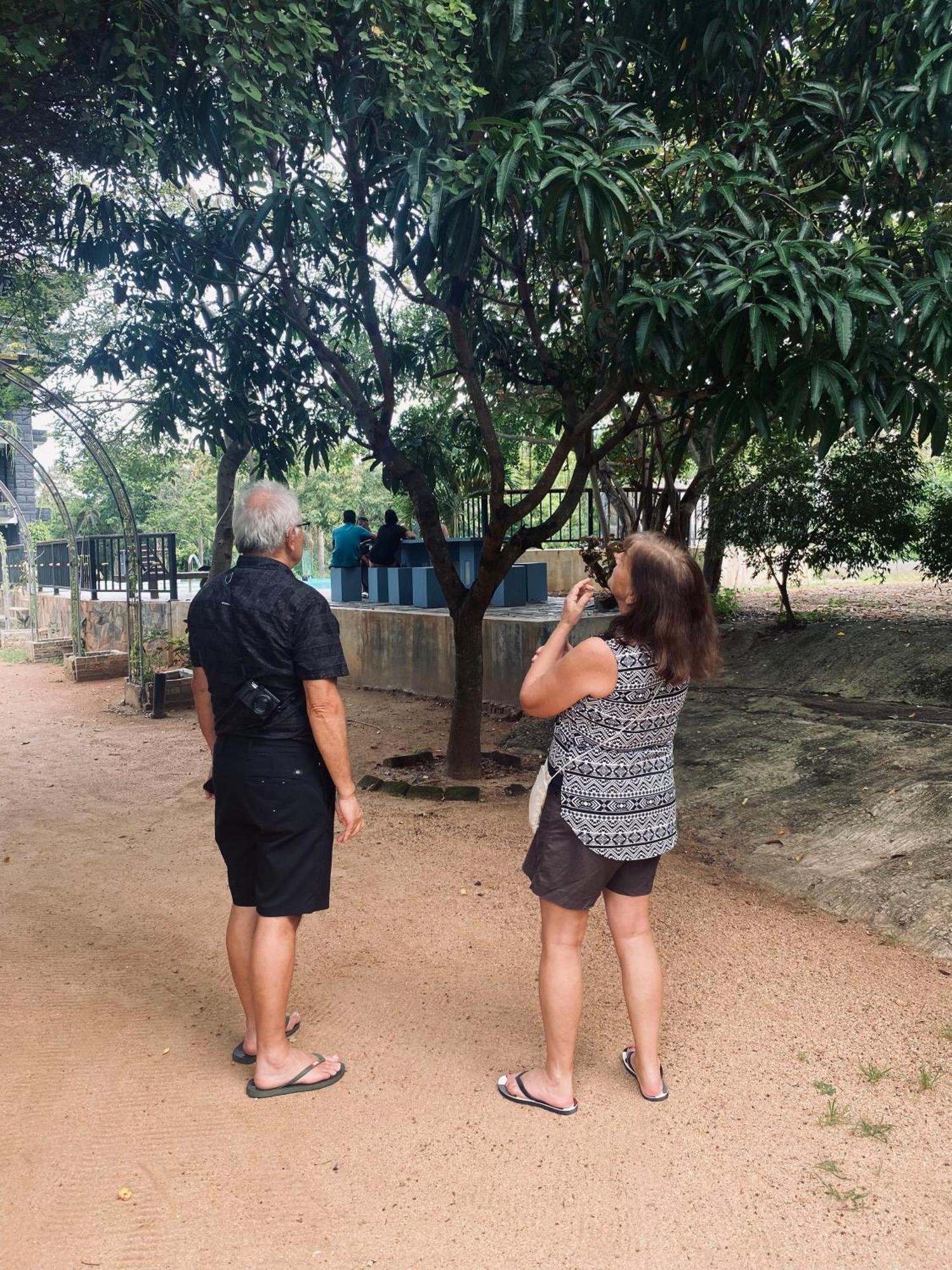 Sigiriya Kingdom Resort 丹不拉 外观 照片