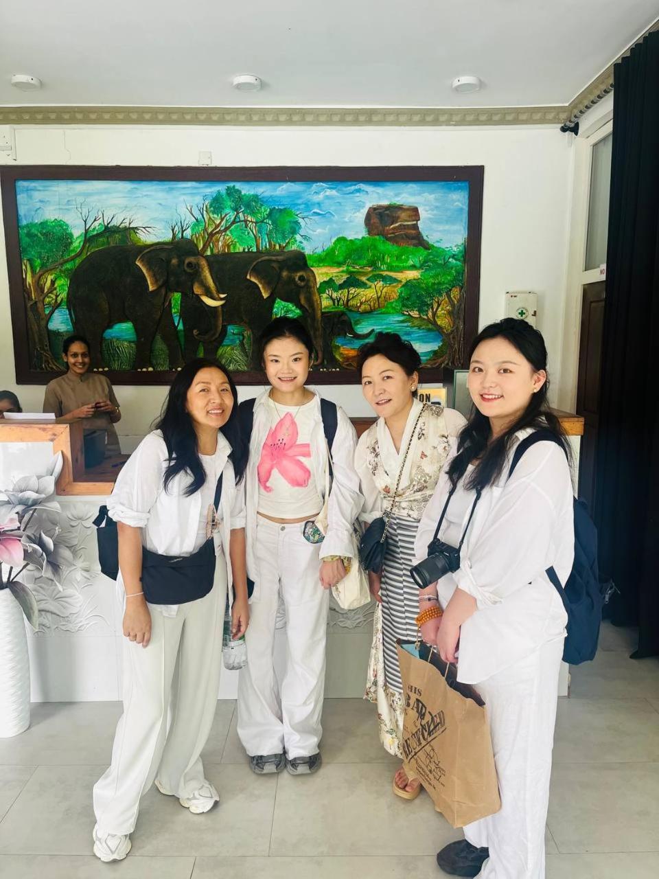 Sigiriya Kingdom Resort 丹不拉 外观 照片