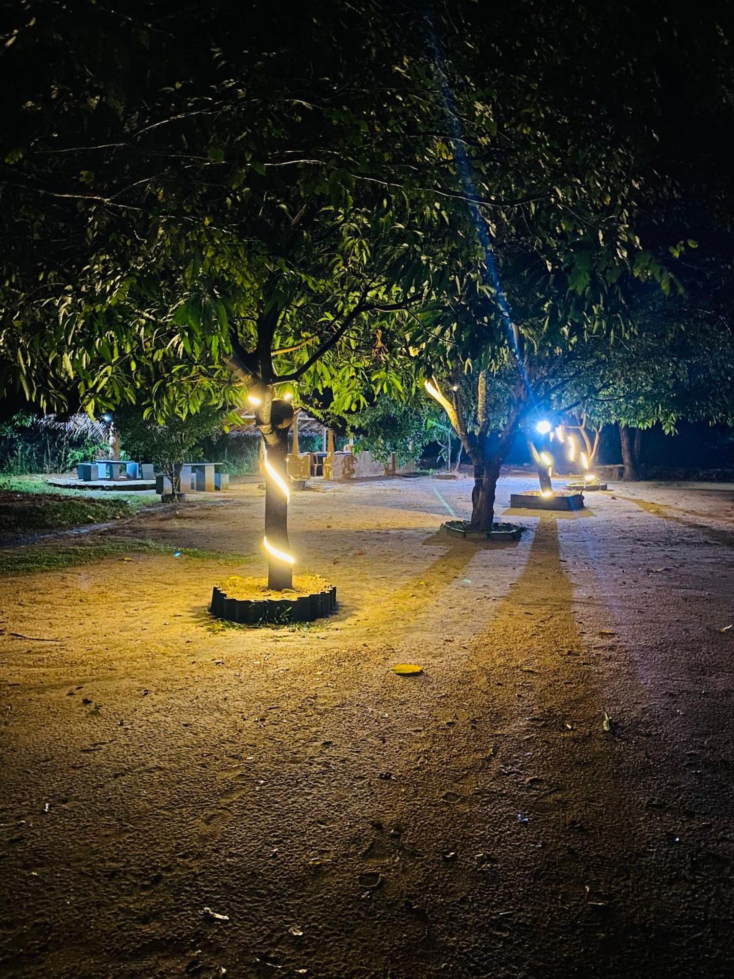 Sigiriya Kingdom Resort 丹不拉 外观 照片