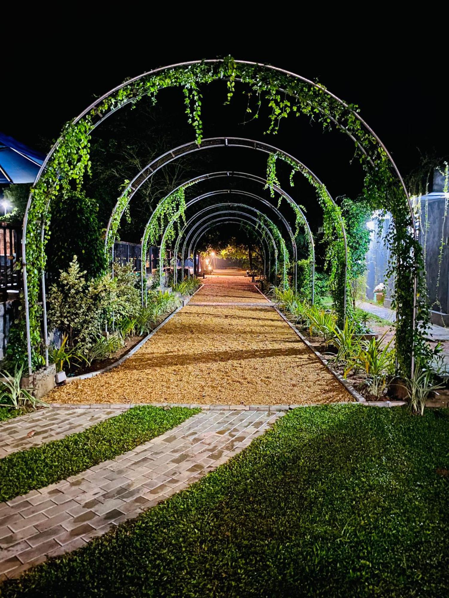 Sigiriya Kingdom Resort 丹不拉 外观 照片