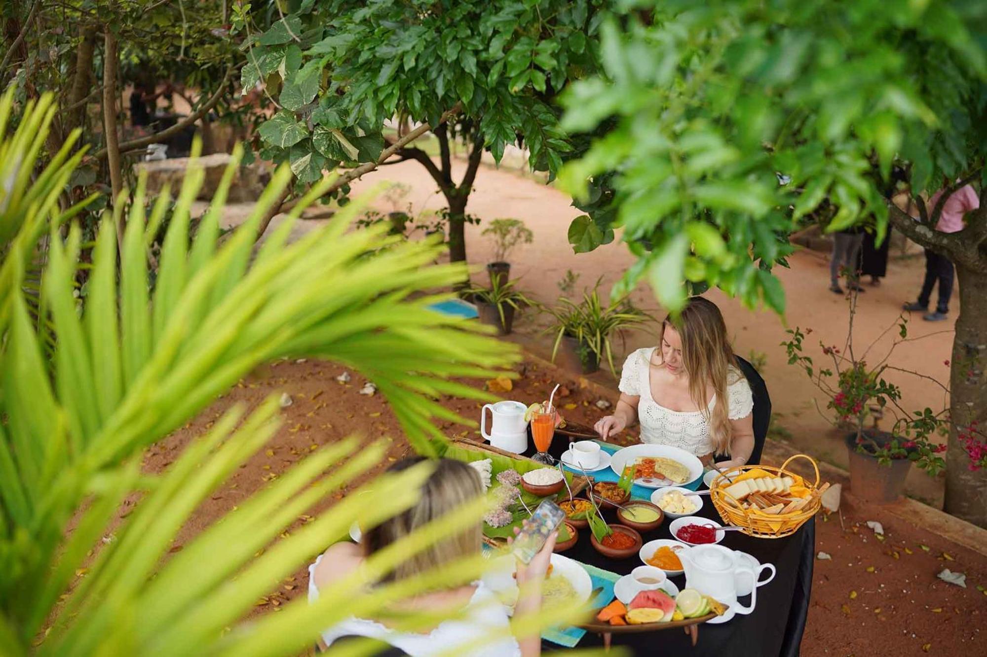 Sigiriya Kingdom Resort 丹不拉 外观 照片